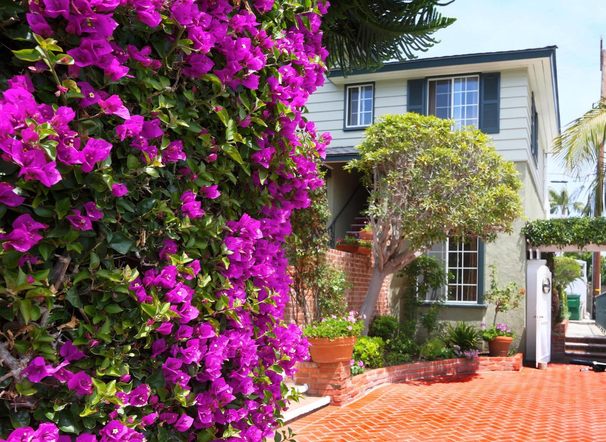 Hotel Joaquin (Adults Only) Laguna Beach Esterno foto